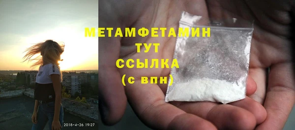 прущие грибы Покровск