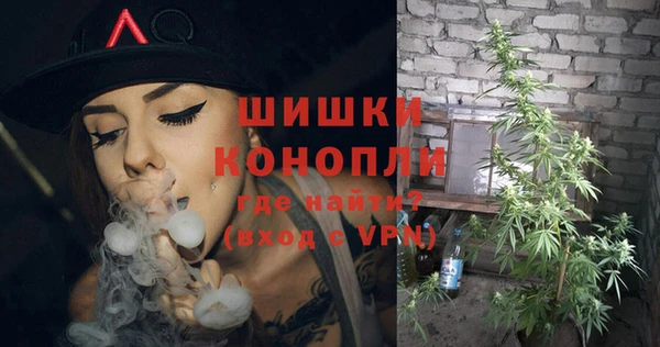 спайс Покачи